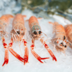 Langouste