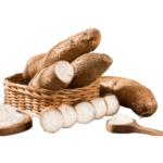 Manioc